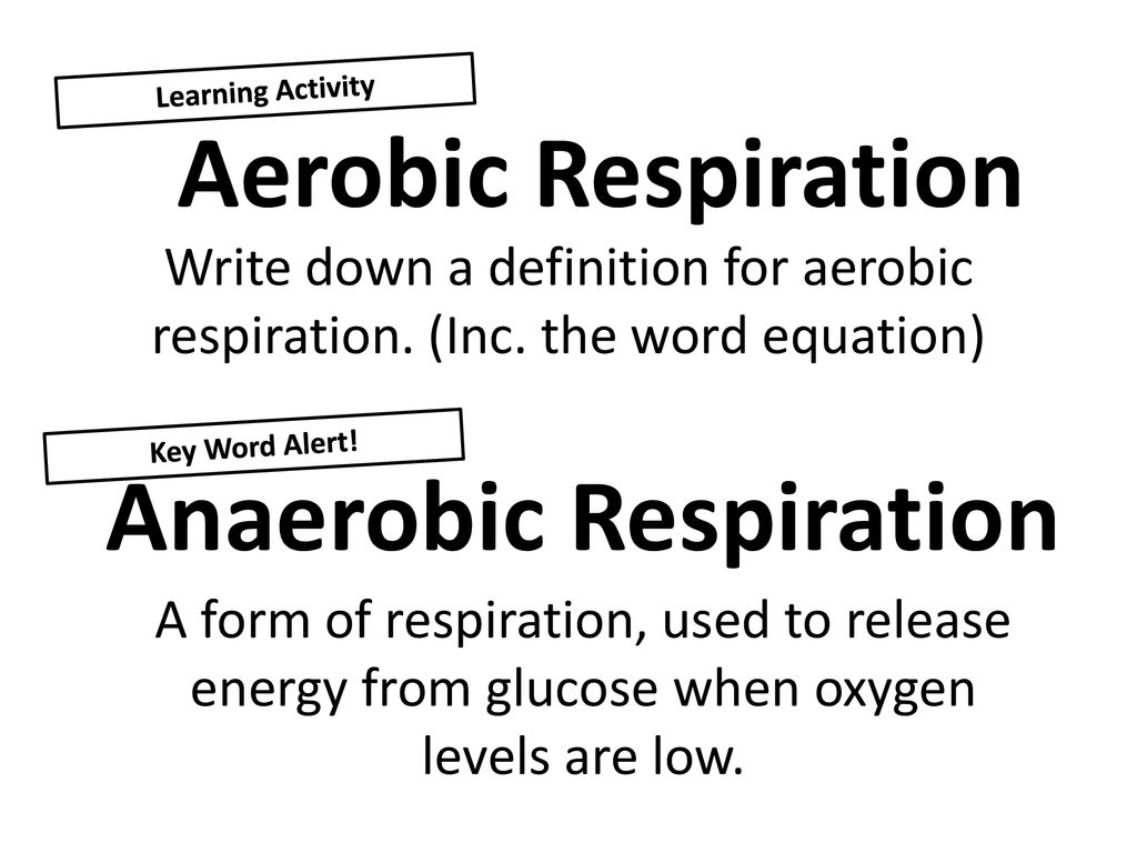 Aerobic 2024 respiration definition